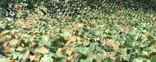 Filet de camouflage